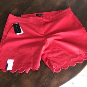 NWT red shorts! Size 16